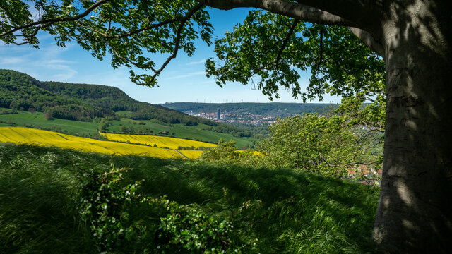 Kunitz Bilder Durchsuchen 49 Archivfotos, und Videos