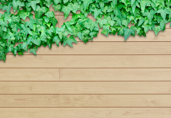 Background material for ivy and wood grain board.