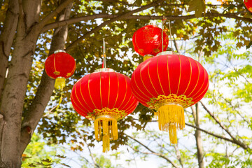 Bright red traditional Chinese lanterns hanging from tree branches on a clear sunny day. Traditions...