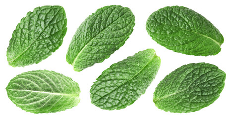 Mint leaves isolated on white background. Top view