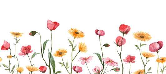 Meadow field with hand painted flowers. Cute floral banner