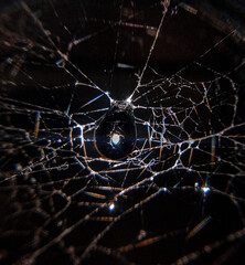 Drop on web with scattered light