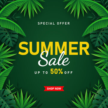 Summer Sale banner with tropical leaves