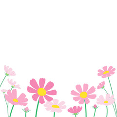 Obraz na płótnie Canvas ピンクのコスモスがたくさん咲いている風景のベクターイラスト　正方形