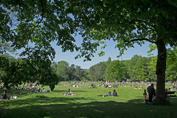 People relaxing in the park. Summer. Picknick. Flevopark Amsterdam Netherlands.