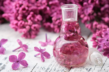 Lilac essential oil or infusion bottle. Syringa extract. Blossom lilac flower on background.