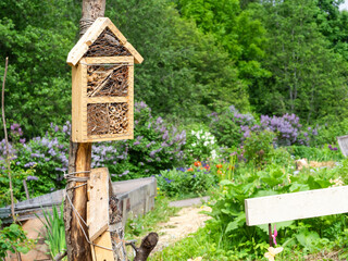 Bug hotels in a garden, a shelter for pollinators, closeup with selective focus and copy space