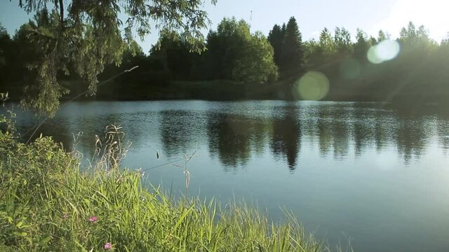 Quiet evening on the shore of a pond or lakeside where the sunset