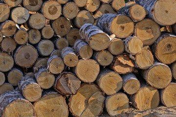 Sawn birch logs are stacked in a pile