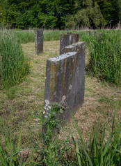 Abandoned Jewish cemetry with old gravestones. Thombstones. Flevopark Amsterdam Netherlands. Ashkenazi Jews. Begraafplaats Zeeburg.