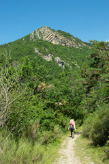 Randonneuse sur un sentier de montagne