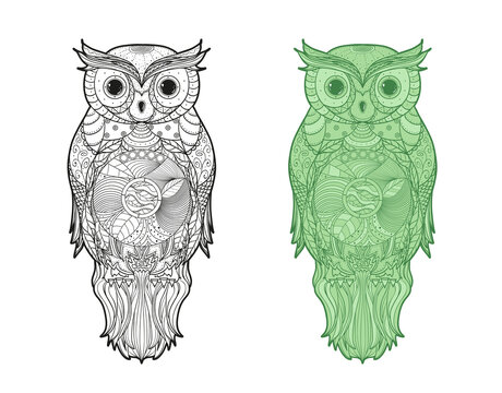 Owl on isolated white. Detailed hand drawn line bird with abstract patterns on isolation background. Abstract ornate character. Different color options