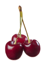 Three sweet cherries isolated on white