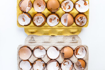 
eggshells in a box broken chicken eggs