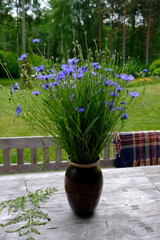 Bouquet of cornflowers in a clay vase on a wooden table for decorating the summer solstice