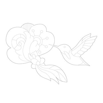 Contour linear illustration for coloring book. Beautiful bird colibri, anti stress picture. Line art design for adult or kids  in zentangle style and coloring page.