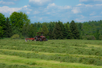 Fototapeta na wymiar Tractor making hay on the farm in Quebec, Canada