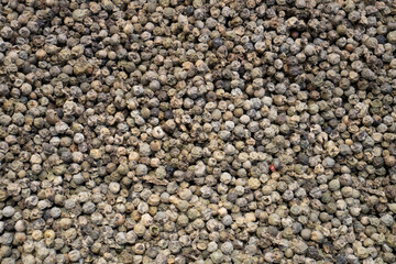 Black peppercorns background.  Top view blur textures soft focus