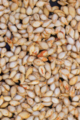 Pumpkin seeds background place for text