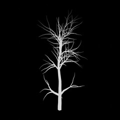 White tree 3d rendering. Tree picture. Black background.	