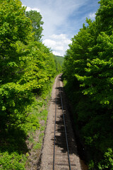 Fototapeta na wymiar Railroad running through the forest in Quebec, Canada