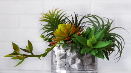 Artificial plastic succulents for home decor on a white background