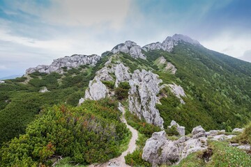 Skały tatry g&oacute;ry