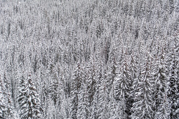 Skiing in Aspen