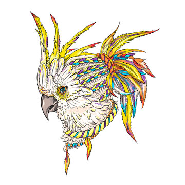 Beautiful kakadu parrot head in boho style illustration. Illustration in a hand-drawn style. Stylish image for printing on any surface