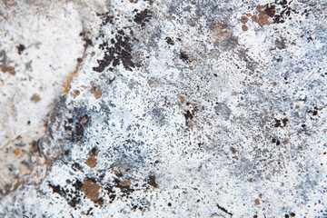 rock as gray background