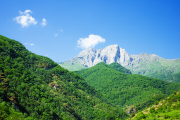 view of dense forest and mountain. Mount Khustup