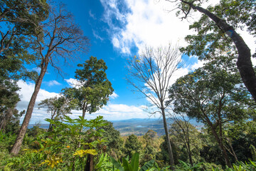 Viewpoint during the trekking route to Phu Kradueng, Loei Province, Thailand