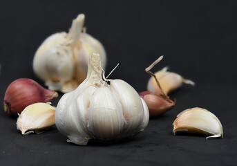 Garlic Isolated on back background.