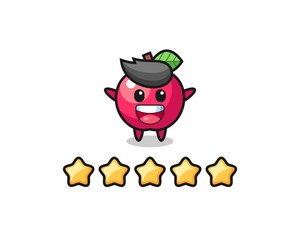 the illustration of customer best rating, apple cute character with 5 stars