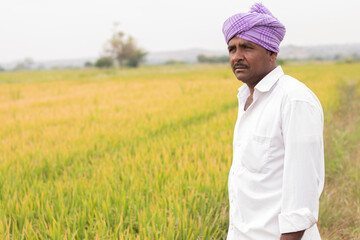 Medium Close up Shot of serious Indian Farmer standing in the middle of the paddy field with copy space