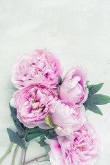 Delicate pink flowers of peonies on a light background. Vintage style. Postcard, congratulations.