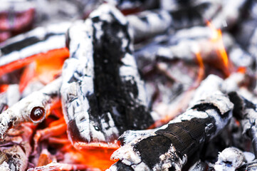 burning firewood, coals on fire close up