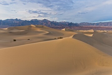Fototapeta na wymiar Death Valley Mesquite Sand Dunes Furnace Creek California