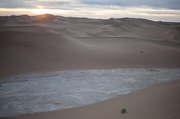 Fototapeta na wymiar endless expanses of the Sahara huge sand dunes at dawn of sunrise 