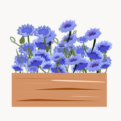 Wooden box with blue and blue cornflowers.