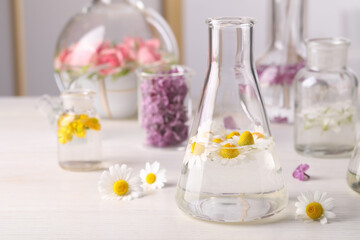 Fototapeta na wymiar Laboratory glassware with flowers, focus on flask. Extracting essential oil for perfumery and cosmetics
