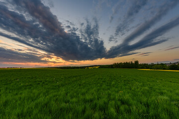 Sunset over the field