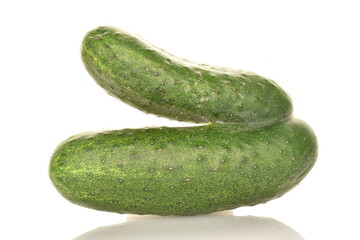 agricultural, vegetables, group, color, garden, agriculture, farming, plant, freshness, nutrient, dieting, nobody, diet, vegetarian, natural, nature, eating, vitamin, close-up, ripe, white, isolated, 