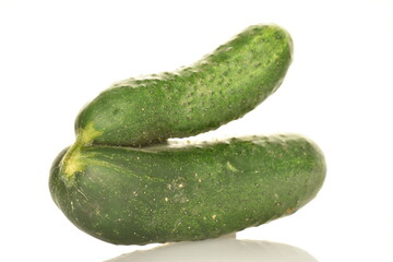 agricultural, vegetables, group, color, garden, agriculture, farming, plant, freshness, nutrient, dieting, nobody, diet, vegetarian, natural, nature, eating, vitamin, close-up, ripe, white, isolated, 
