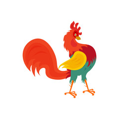 A beautiful bright colored rooster stands on its paws . A proud cock in cartoon style. Vector illustration isolated on white background.