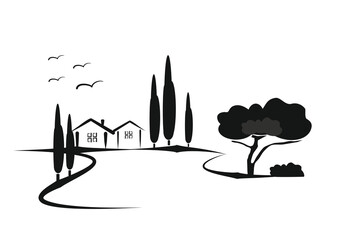 vineyard vector illustration rural landscape