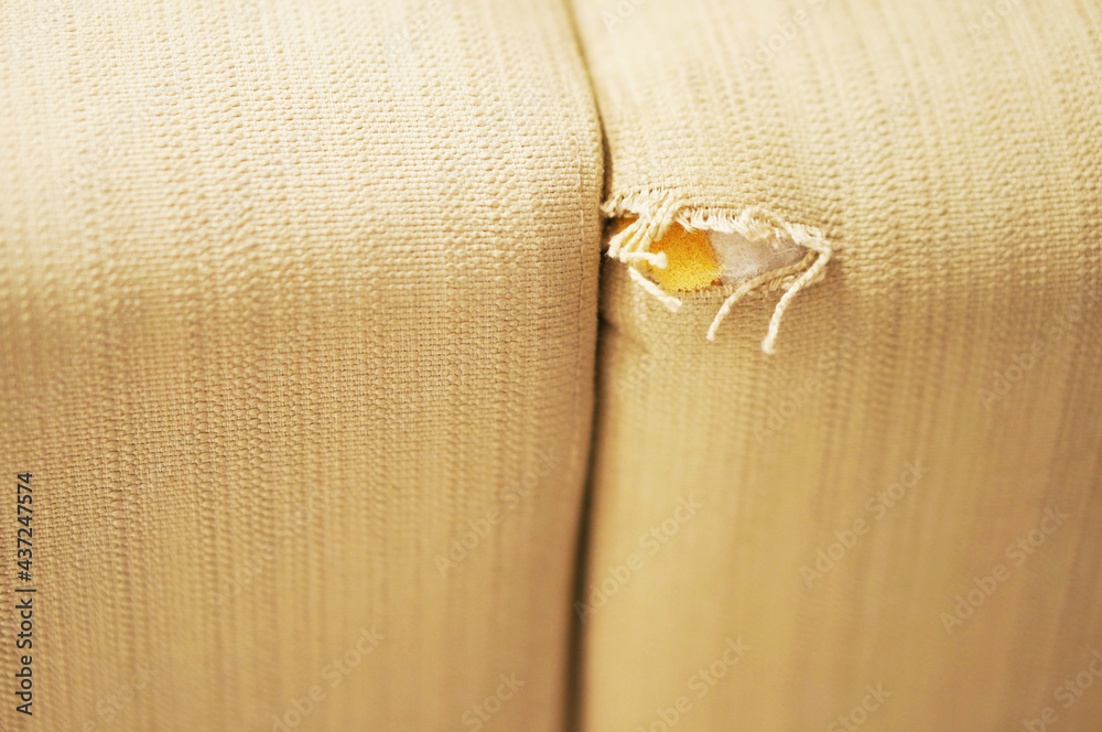 Wall mural Close-up of a damaged ripped couch