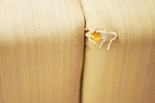 Close-up Of A Damaged Ripped Couch