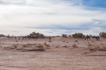 endless expanses of the Sahara huge sand dunes at dawn of sunrise 