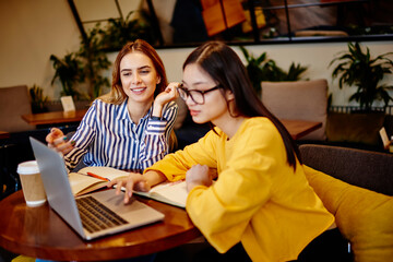 Female friends preparing for exam on netbook in cafe